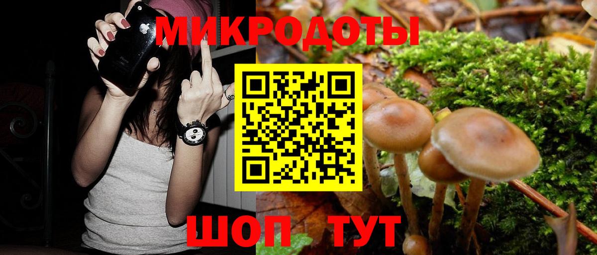 Буйнакск  Псилоцибиновые грибы ЛСД  Галлюциногенные грибы Psilocybine cubensis  Вход с VPN 